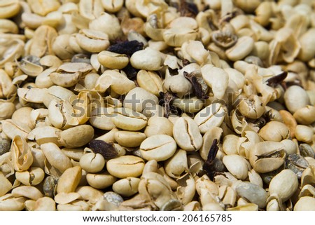 Background texture or fresh raw dried coffee beans to be roasted and ground and used as ingredient in brewing filter and espresso coffee