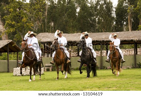 Peruvian Paso Horse Demonstration