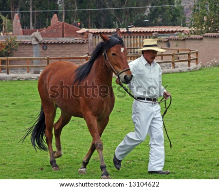 Peruvian Paso Horse Demonstration