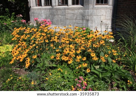 Summer flower garden and wall