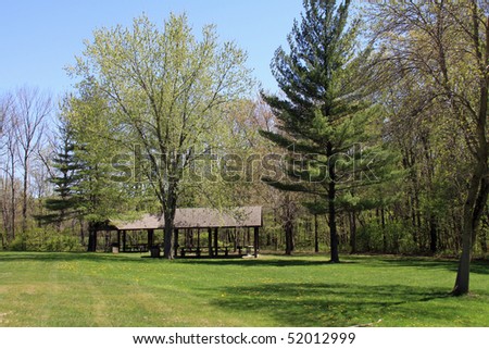 Inviting picnic tables are shelter under the massive trees in the midwest
