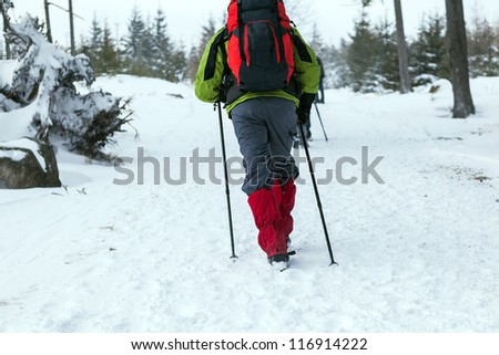 People on winter hike in mountains. Hikers walking on snowy trail, cold nature environment in wilderness forest.