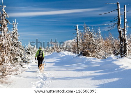 Woman hiking in winter mountains with akita dog. Sunny day recreation walking and trekking on white powder snow under the blue sky, Poland