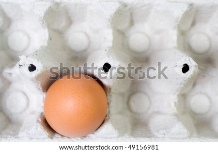 Single chicken egg in paper tray from above closeup