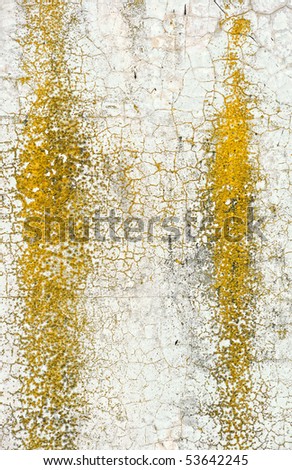 Old concrete wall with yellow moss