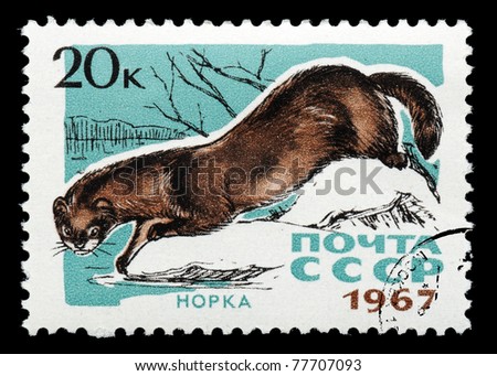 USSR - CIRCA 1967: A post stamp printed in USSR and shows russian mink, series Fur-bearing Animals, circa 1967