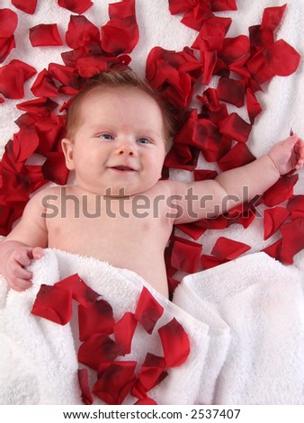 baby in rose