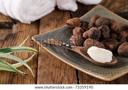Shea butter in a spoon with sha nuts