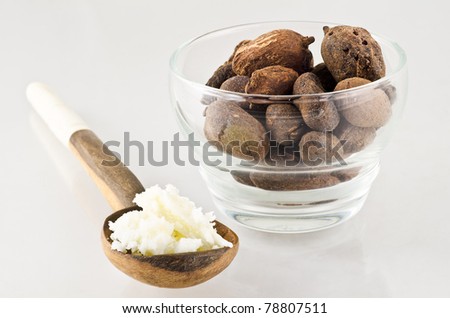 wooden spoon of shea butter and shea nuts. Shea nuts come from Africa and are used for cosmetics product and skin care