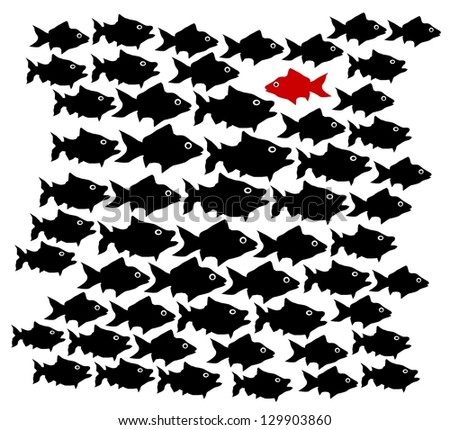 One fish swim in opposite direction, dare to be different concept