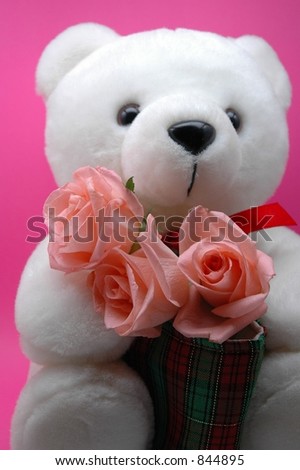valentine teddy bear. stock photo : teddy bear and
