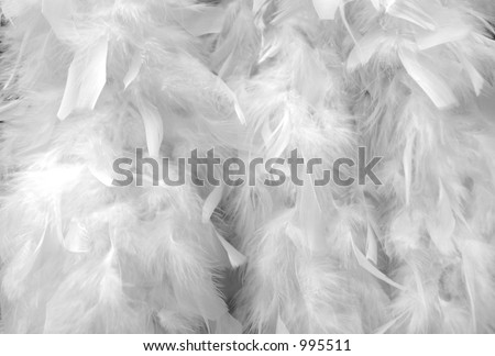 White feather boa for background