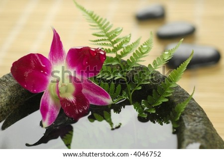 Orchid, fern leaves, stone bowl and therapy stones