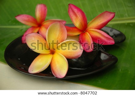 Frangipanis, scented water and banana leaf