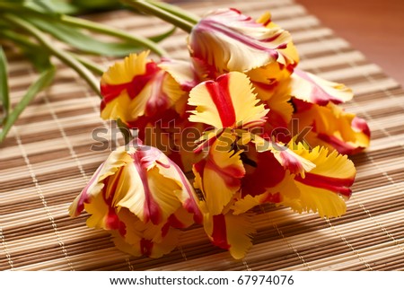 Morning bouquet of yellow tulips on bamboo napkin