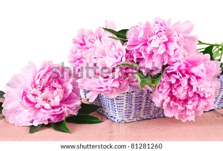 Basket of pink peonies, isolated on white background