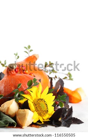 Autumn arrangement with Hokkaido pumpkins and sunflowers on white background
