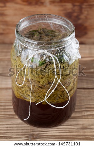 Jar with young spruce sprouts and cane sugar - making spruce syrup, alternative medicine for cough, cold or flu