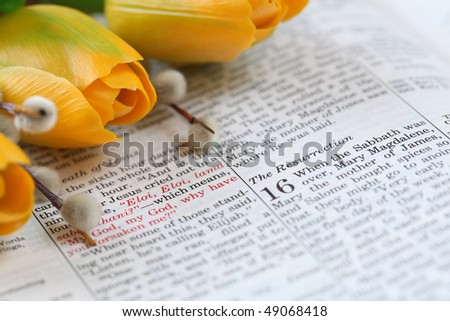 Open Bible with selective focus on the text in Mark 16 about Jesus\' resurrection. Shallow DOF