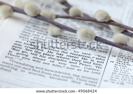 He has risen! - Open Bible with selective focus on the text in Mark 16:6 about Jesus\' resurrection. Shallow DOF