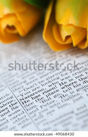 Open Bible with selective focus on the text in Mark 16:6 about Jesus\' resurrection: \