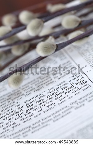 Open Bible with selective focus on the text in Mark 16:6 about Jesus' resurrection: 