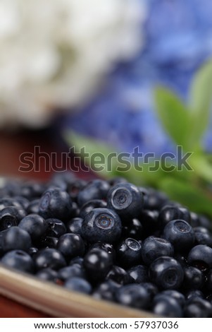 Fresh wild blueberries on a plate. Shallow DOF