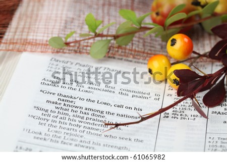 Thanksgiving arrangement with the Bible open at 1 Chronicles 16:8