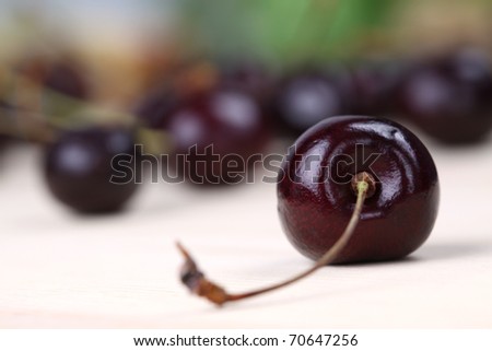 Close-up of a black cherry with more cherries in background. Shallow DOF