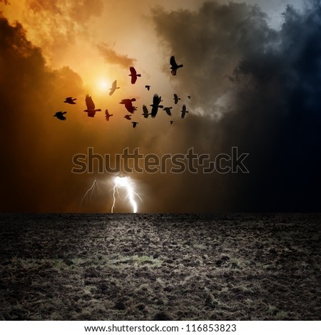 Big arable field, dark stormy sky with lightning, flock of flying ravens, crows in dark sky