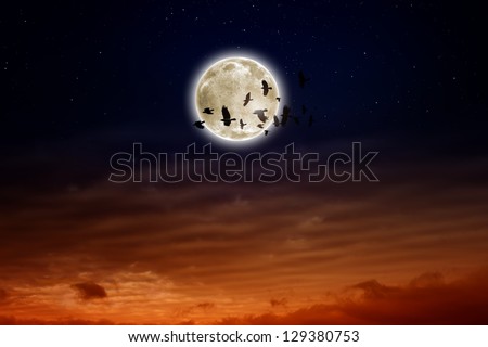 Night sky with full moon, stars, flock of flying ravens, crows. Elements of this image furnished by NASA