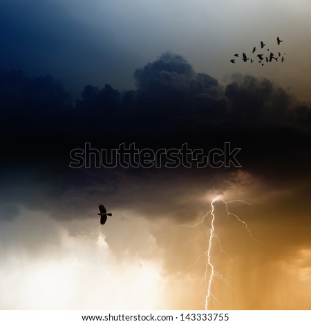 Dramatic nature background, bright lightning, flock of flying ravens, crows in dark sky