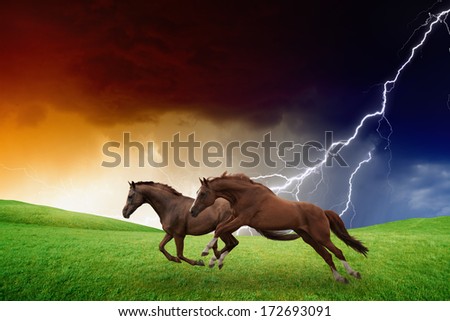 Two Running Horses, Green Hills, Dark Stormy Sky, Lightning, Picture For Chinese Year Of Horse 2014