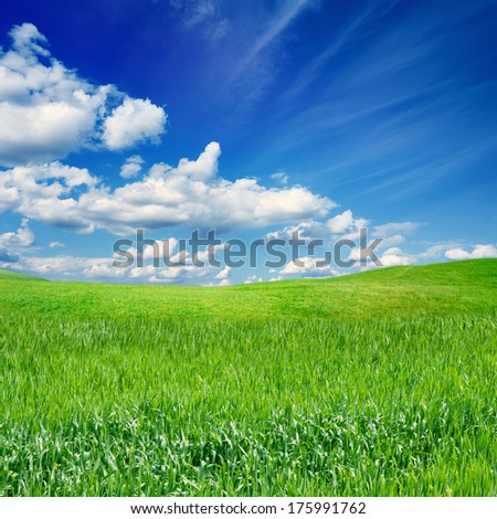 Beautiful nature eco background - green grass field, blue sky, white clouds, season spring