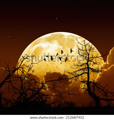 Night sky with yellow full moon, stars, flock of flying ravens, crows, tree silhouette. Elements of this image furnished by NASA