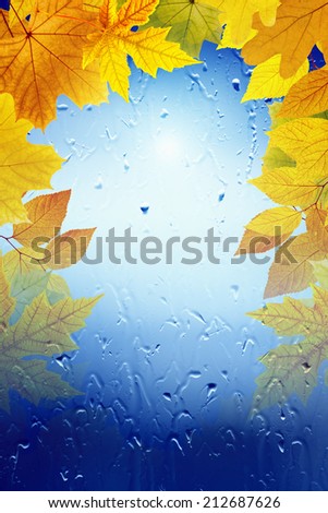 Autumn background - falling maple leaves, window with rain drops, rainy day, season is fall, vertical picture for smartphone