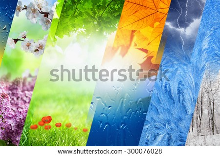 Beautiful nature collage - four seasons of year collage, vibrant images of different time of year - winter, spring, summer, autumn