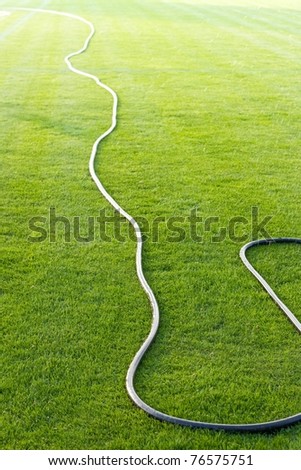 Green soccer field with rubber hose for watering