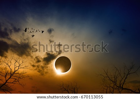 Dramatic scientific background - total solar eclipse in dark red glowing sky, mysterious natural phenomenon when Moon passes between planet Earth and Sun, flock of flying ravens in moody sky