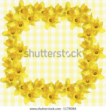 Daffodil Ring with Clipping Path - use background of your choice.