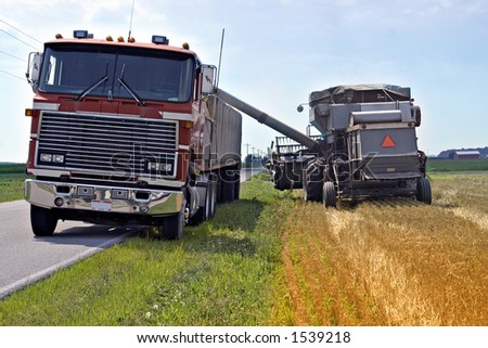 Loading wheat from field to a waiting Semi truck to transport to market.  Field in Toledo, Ohio