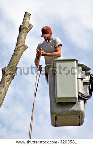 A tree worker in a bucket lift.