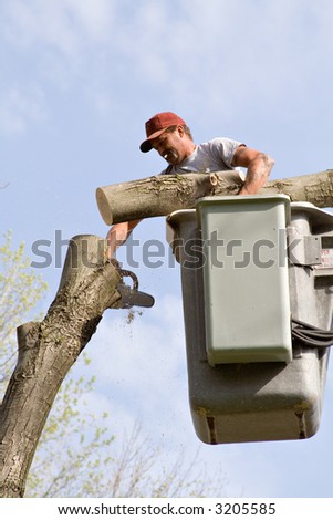 Tree worker cutting down tree.  Log in one hand - chainsaw in the other.