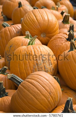 Many pumpkins of different sizes for sale as fall decorations.
