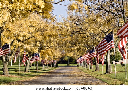 American flags line the driveway of a cemetery on Veteran\'s Day.