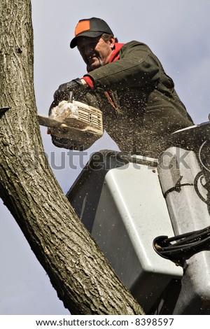 A man removing a dead tree from a bucket lift and chain saw.