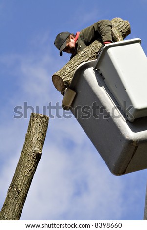 A man works from a bucket lift - removing a tree piece by piece.