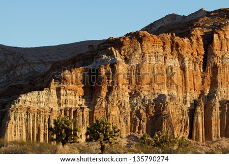 Dawn lights a rock wall at Red Rock Canyon State Park and Red Cliffs Nature Preserve in California's Mohave Desert