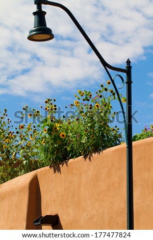 Sunflowers grow on the roof of a pueblo revival-style building in Santa Fe, New Mexico