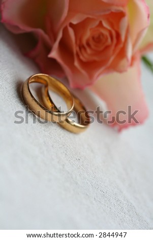 wedding bands with single pink rose as slightly blurred background